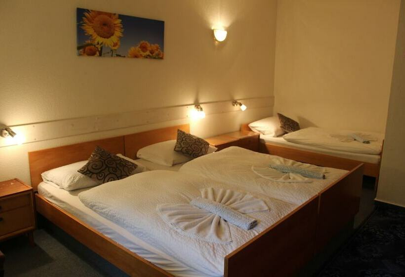 エコノミートリプルルーム, Waldpension Pfeiferhaus