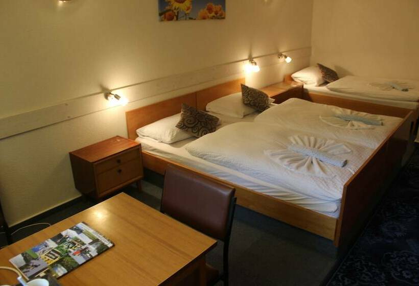 エコノミートリプルルーム, Waldpension Pfeiferhaus