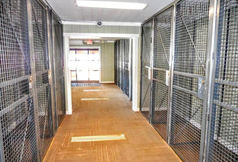 דירת חדר אקונומי, Mountaintop Condos