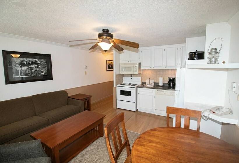 家族用アパートメント, Mountaintop Condos