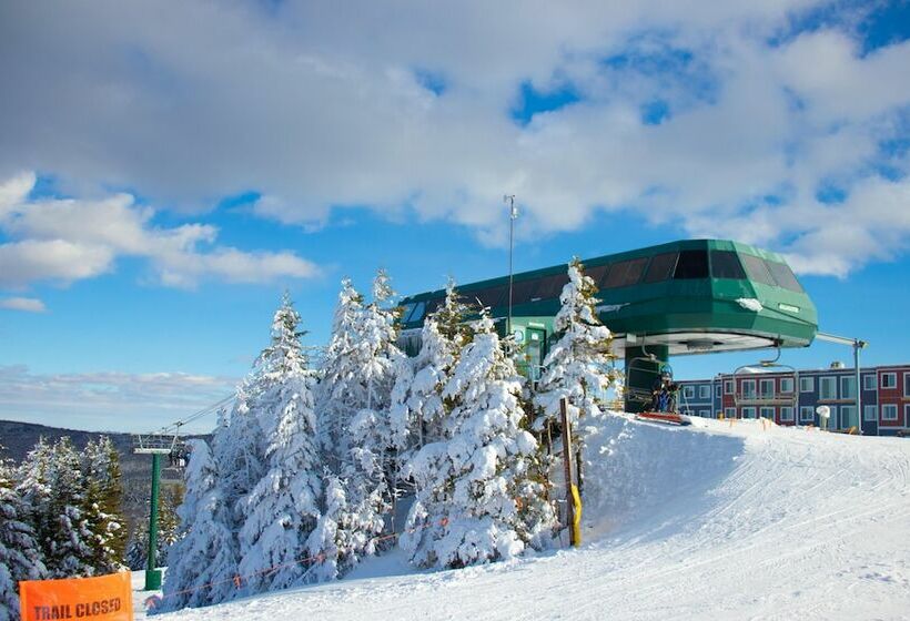 １ベッドルームアパートメント, Mountaintop Condos
