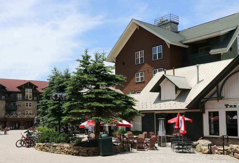 １ベッドルームアパートメント, Mountaintop Condos