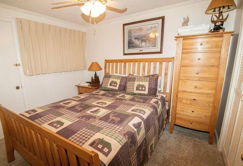 １ベッドルームアパートメント, Mountaintop Condos