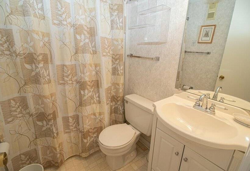 דירת חדר, Mountaintop Condos