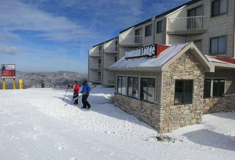 דירת חדר, Mountaintop Condos