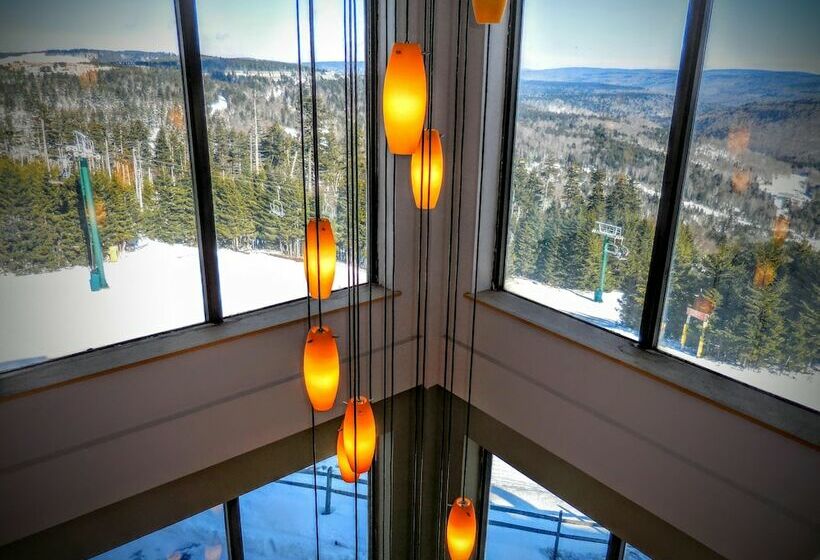 דירת חדר, Mountaintop Condos