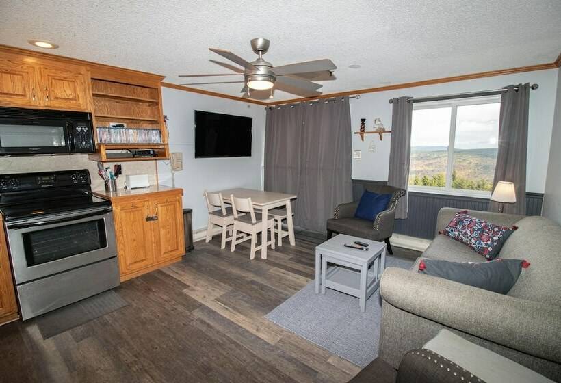 １ベッドルームアパートメント, Mountaintop Condos