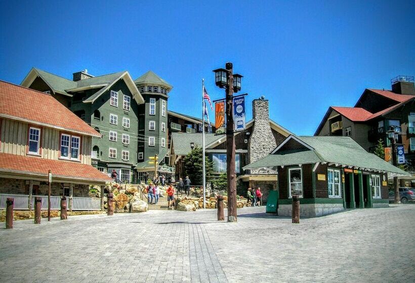 침실 1개 아파트, Mountaintop Condos