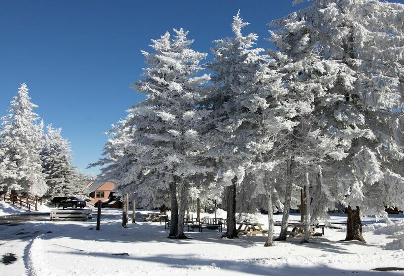 침실 1개 아파트, Mountaintop Condos