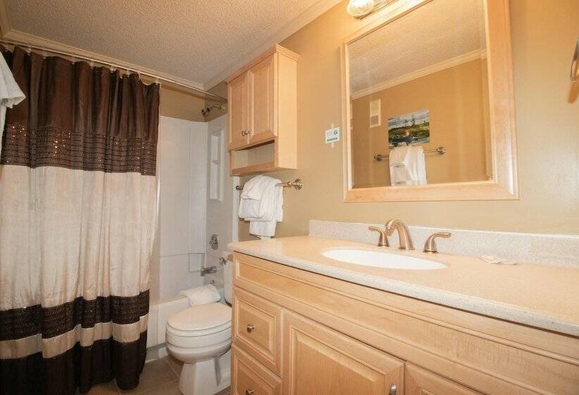 １ベッドルームアパートメント, Mountaintop Condos