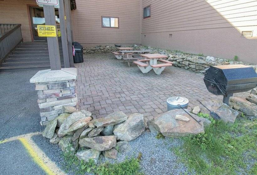 １ベッドルームアパートメント, Mountaintop Condos