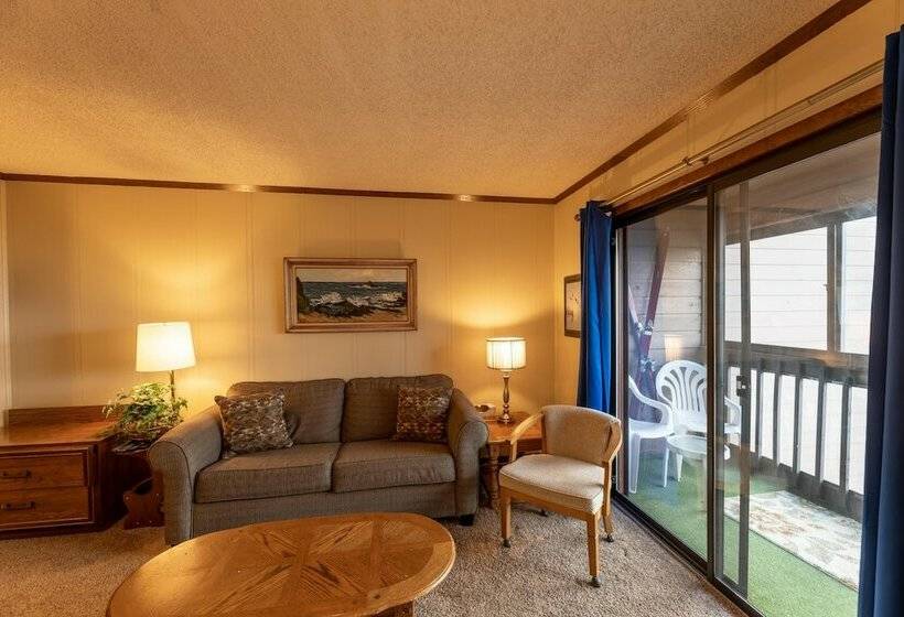 １ベッドルームアパートメント, Mountaintop Condos