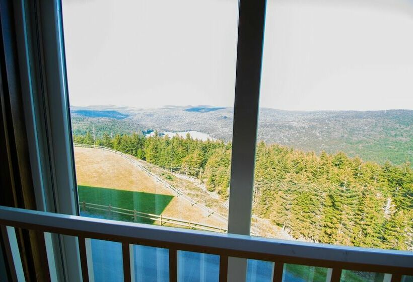 דירת חדר, Mountaintop Condos