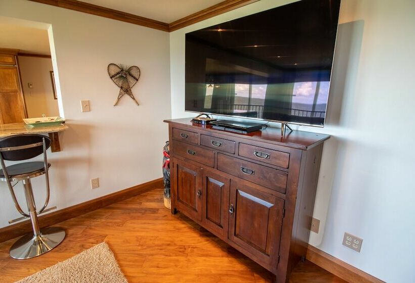 带1个卧室的公寓, Mountaintop Condos