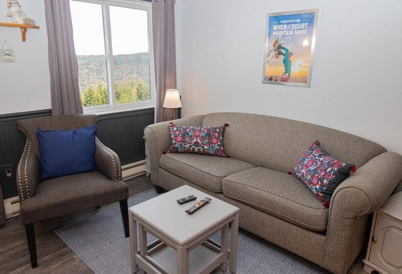 １ベッドルームアパートメント, Mountaintop Condos