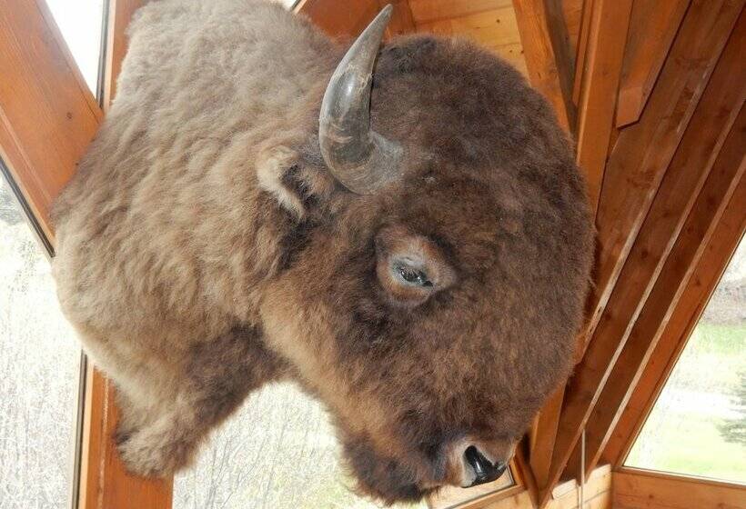 キャビン, Alaska Adventure Cabins