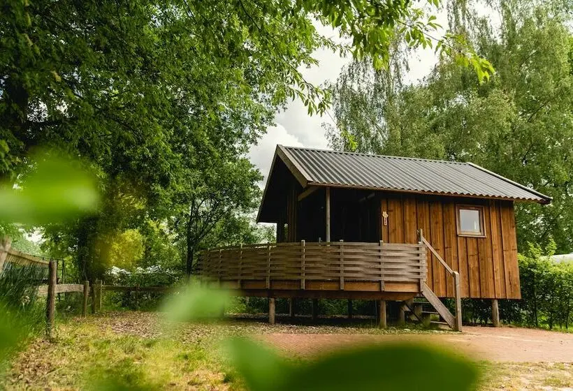 キャビン, Slow Living Bij Mölke X Glamping