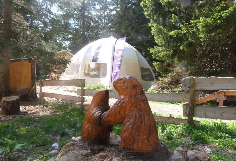 Standard Tent, Eco Bivouac Village D Igloo   Campground