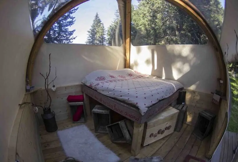Standard Tent, Eco Bivouac Village D Igloo   Campground