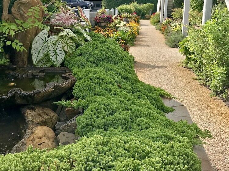 غرفه قياسيه سريرين مزدوجين, Top Mast Resort