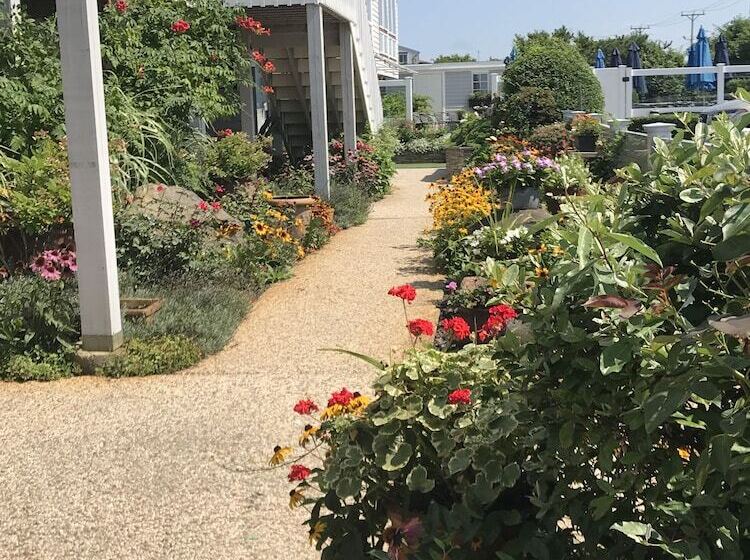 غرفه قياسيه سريرين مزدوجين, Top Mast Resort