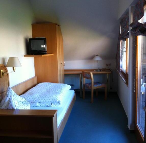 غرفة قياسية فردية, Gasthof Richebächli