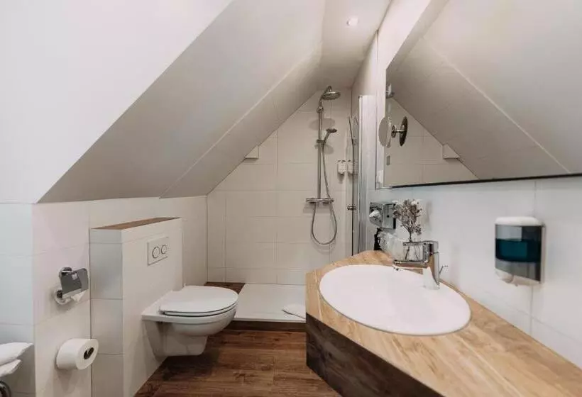 Standard-huone, Schwarzwald Hotel Kraeutle