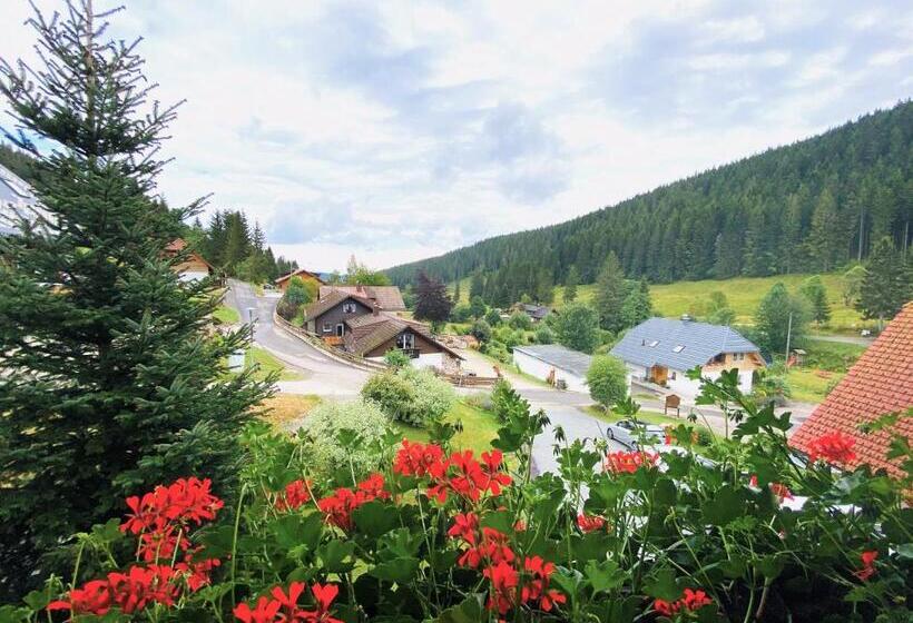 Quarto Estandar, Schwarzwald Hotel Kraeutle
