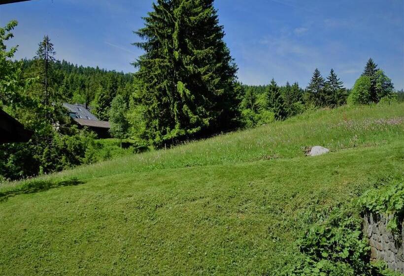 Quarto Comfort, Schwarzwald Hotel Kraeutle