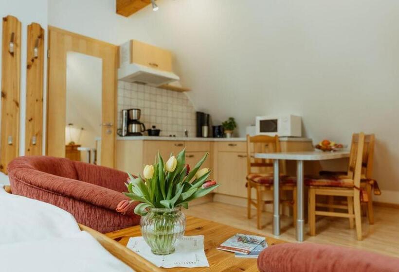 Estúdio standard com Vistas, Schwarzwald Hotel Kraeutle