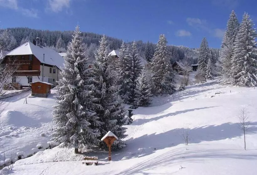 Huoneisto 1 Makuuhuone, Schwarzwald Hotel Kraeutle