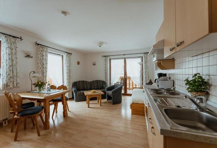 Apartamento 1 Dormitório, Schwarzwald Hotel Kraeutle