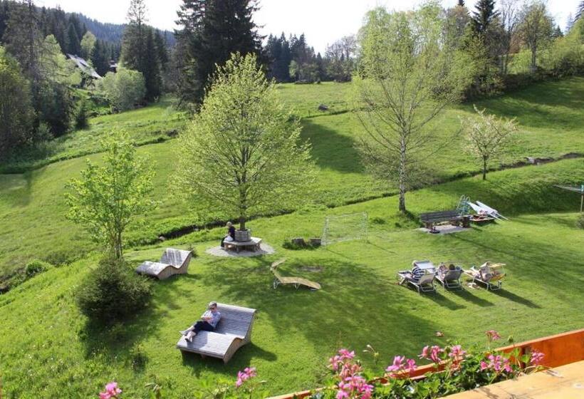 Apartamento 1 Dormitório, Schwarzwald Hotel Kraeutle