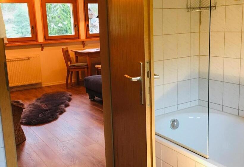 Apartamento 2 Dormitórios, Schwarzwald Hotel Kraeutle