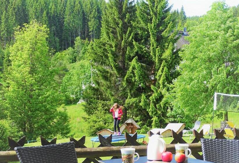 Quarto Estandar, Schwarzwald Hotel Kraeutle