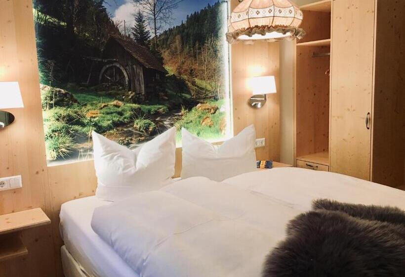 Quarto Estandar, Schwarzwald Hotel Kraeutle
