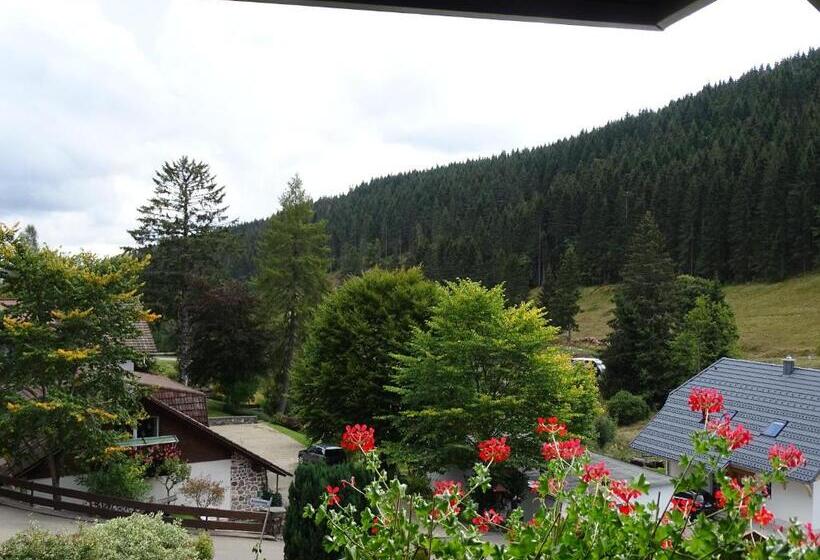 Quarto Estandar, Schwarzwald Hotel Kraeutle