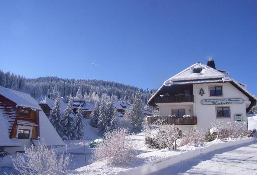 Quarto Estandar, Schwarzwald Hotel Kraeutle