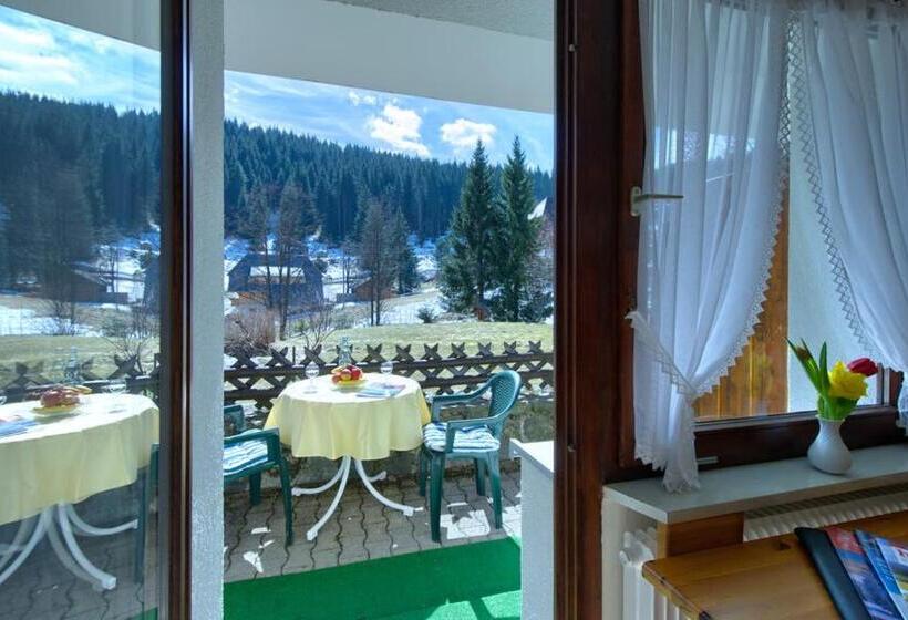 Quarto Estandar, Schwarzwald Hotel Kraeutle
