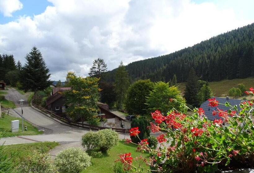 Номер Стандарт, Schwarzwald Hotel Kraeutle