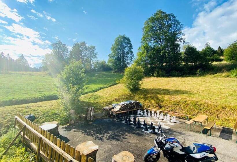 Номер Комфорт, Schwarzwald Hotel Kraeutle