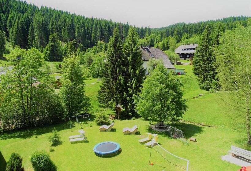 Номер Комфорт, Schwarzwald Hotel Kraeutle