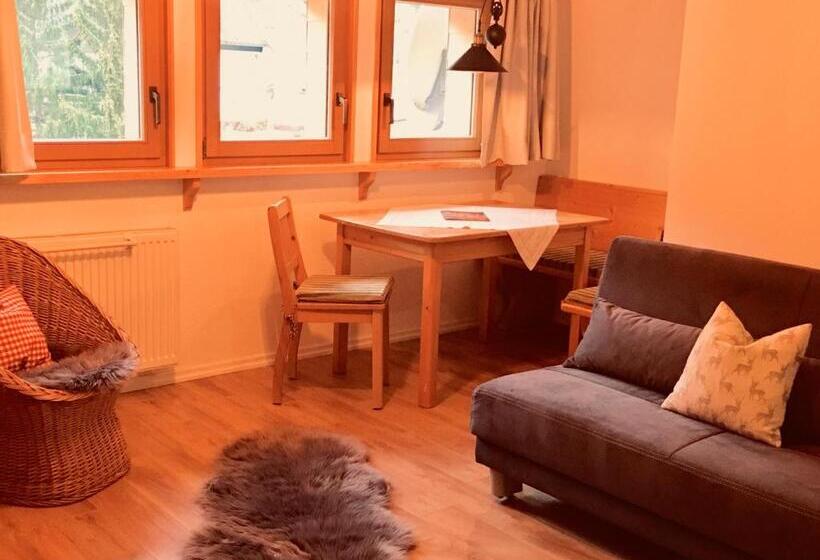 Апартаменты 1 Спальня, Schwarzwald Hotel Kraeutle