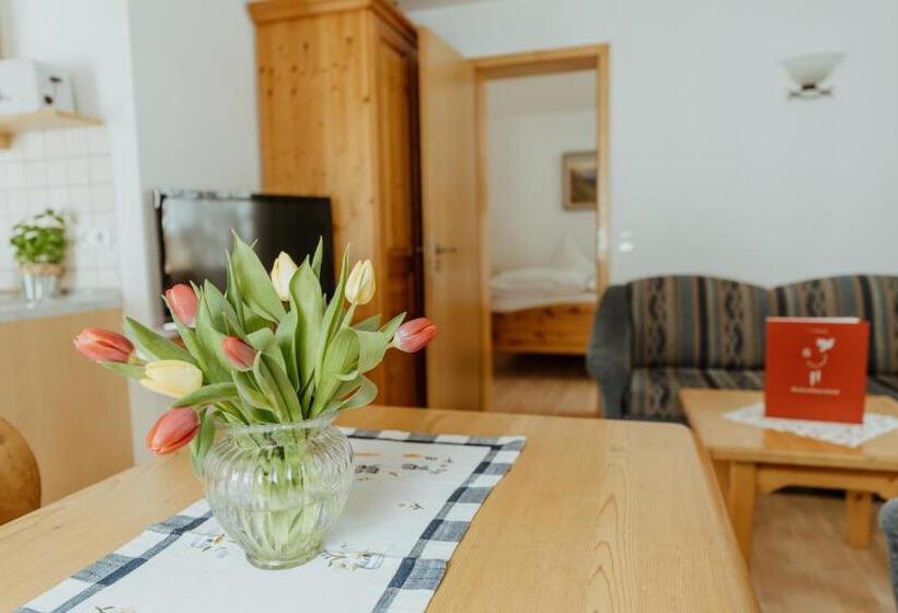 Apartamento 1 Dormitório, Schwarzwald Hotel Kraeutle