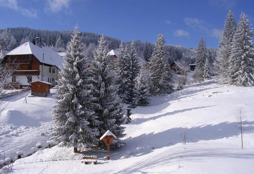 Апартаменты 2 Спальни, Schwarzwald Hotel Kraeutle