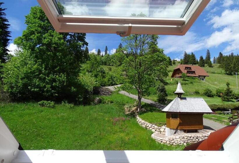 Apartamento 2 Dormitórios, Schwarzwald Hotel Kraeutle