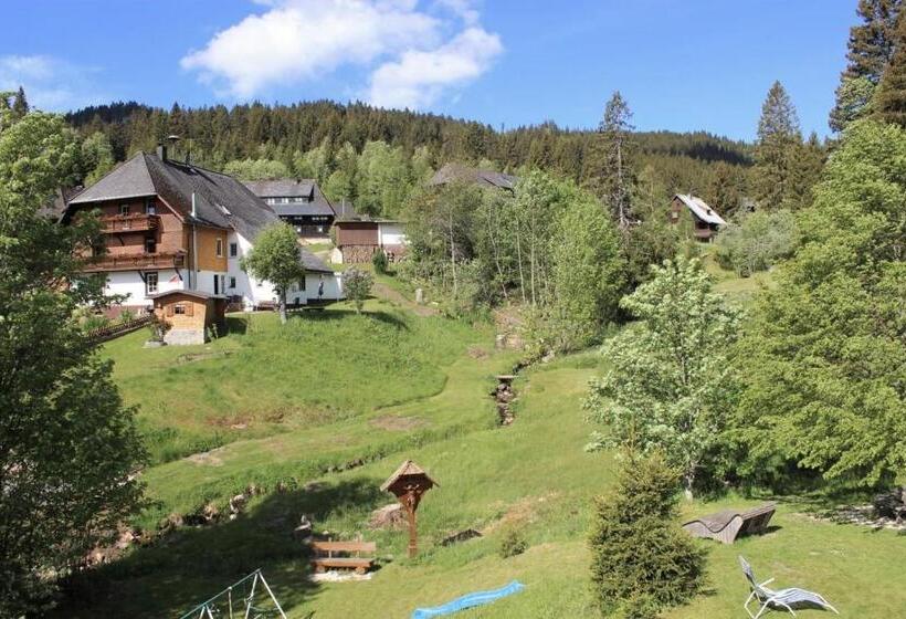 Апартаменты 2 Спальни, Schwarzwald Hotel Kraeutle