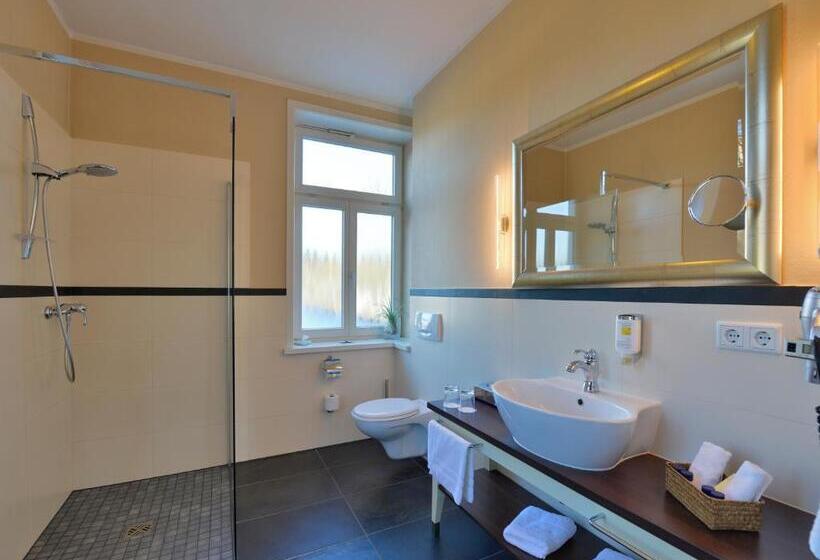 스탠다드 룸, Alte Schule