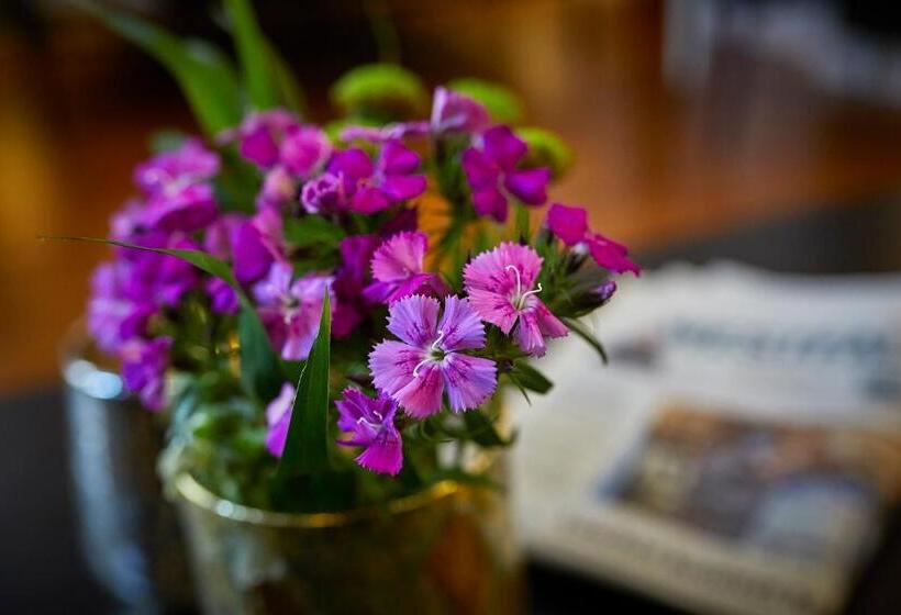 غرفة قياسية, Alte Schule