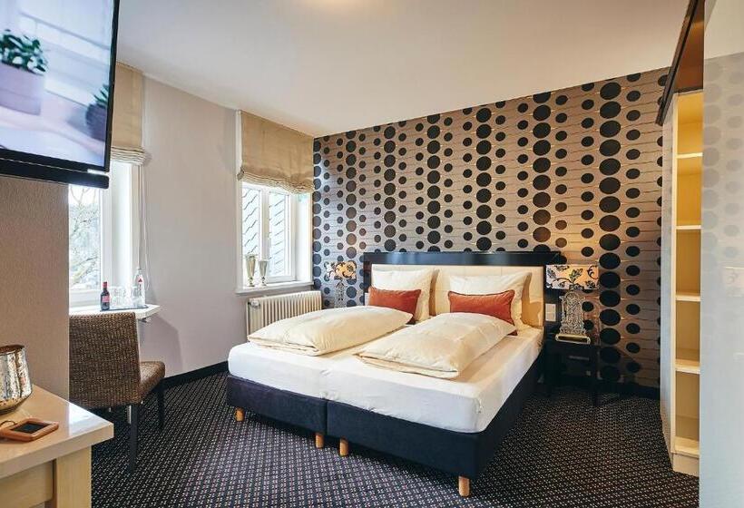 스탠다드 룸, Alte Schule